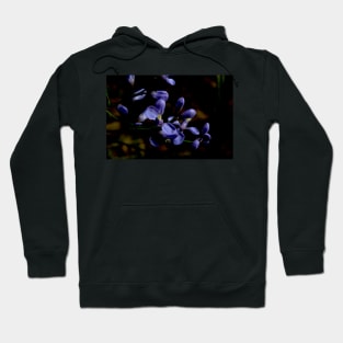 Creeping Love Hoodie